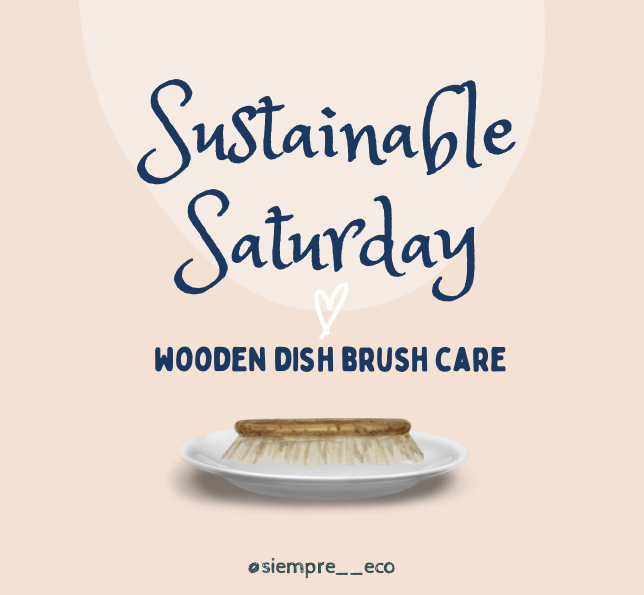 Sustainable Saturday: Wooden Dish Brush Care