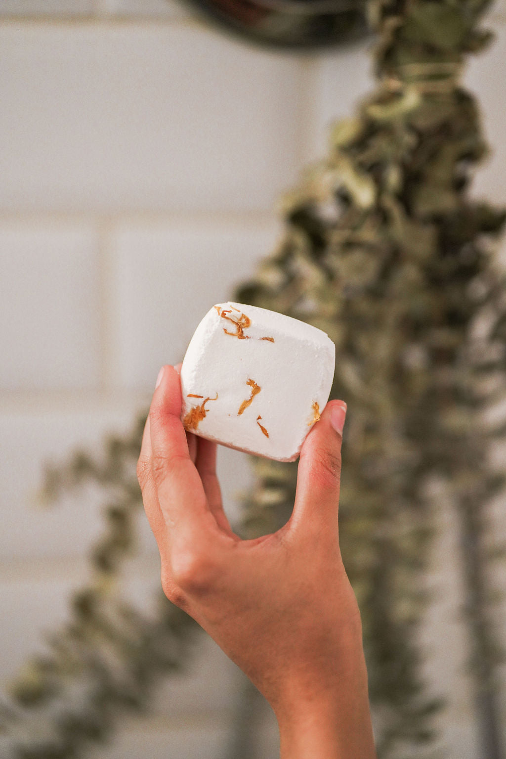 Individual Shower Fizzies