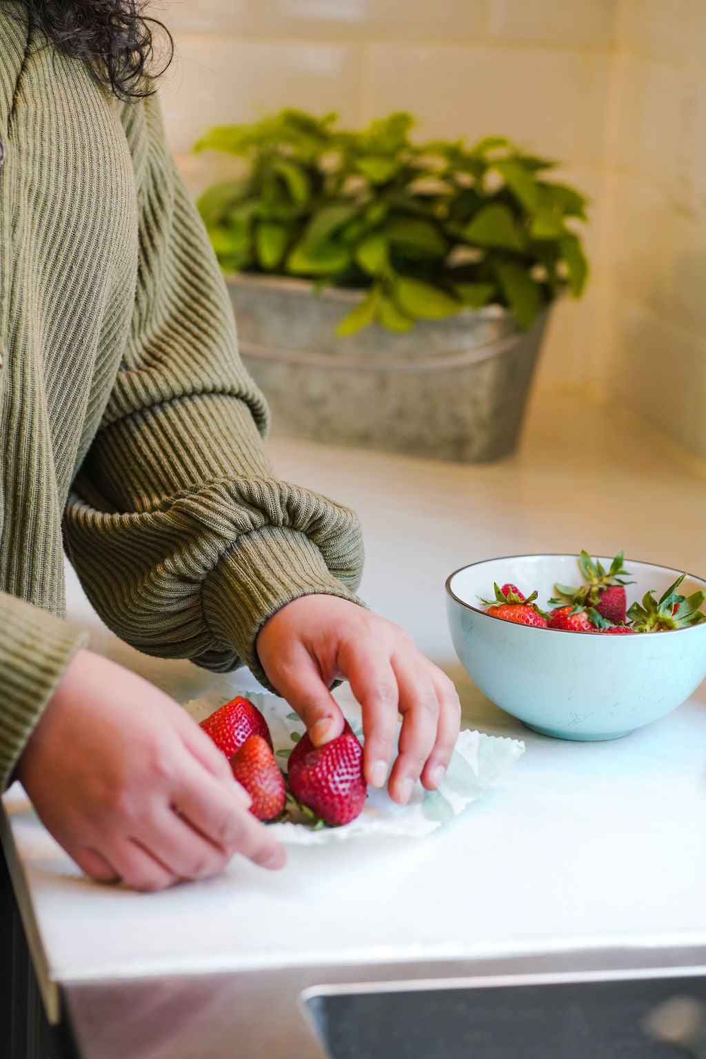 Beeswax Wraps - PICNIC (Set of 3)