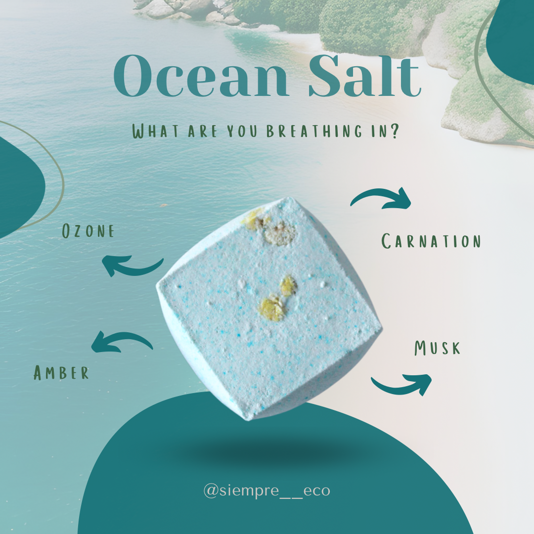 Single Shower Fizzie - Ocean Salts