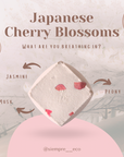 Single Shower Fizzie - Japanese Cherry Blossoms